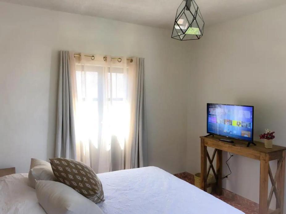 Casa Matia Bed And Breakfast ซานมิเกล เด อาเญนเด ภายนอก รูปภาพ