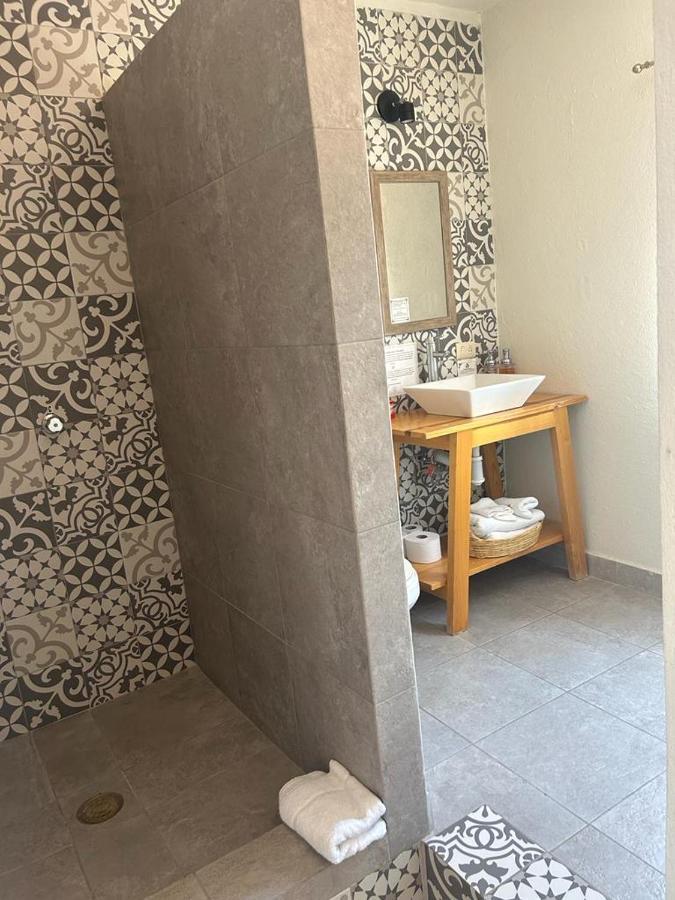 Casa Matia Bed And Breakfast ซานมิเกล เด อาเญนเด ภายนอก รูปภาพ