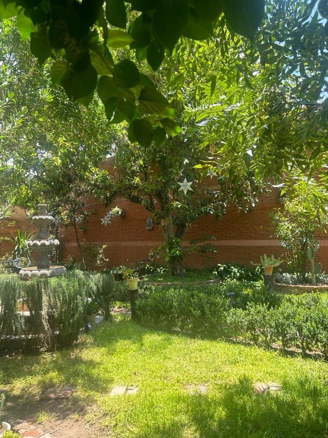 Casa Matia Bed And Breakfast ซานมิเกล เด อาเญนเด ภายนอก รูปภาพ