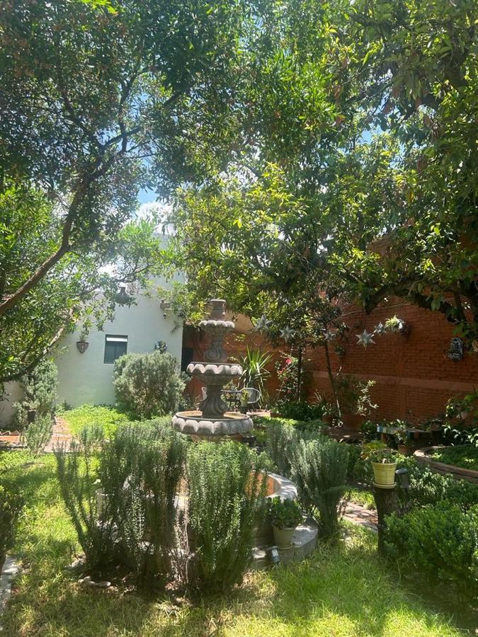 Casa Matia Bed And Breakfast ซานมิเกล เด อาเญนเด ภายนอก รูปภาพ