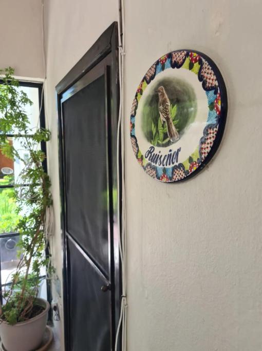 Casa Matia Bed And Breakfast ซานมิเกล เด อาเญนเด ภายนอก รูปภาพ